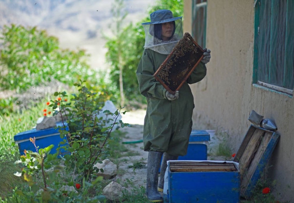 Afghanistan Beekeeper1