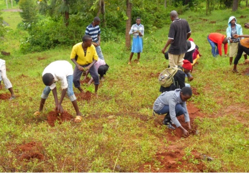 Planting in Kenya