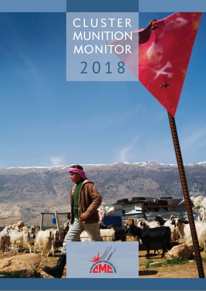 Cluster Munition report