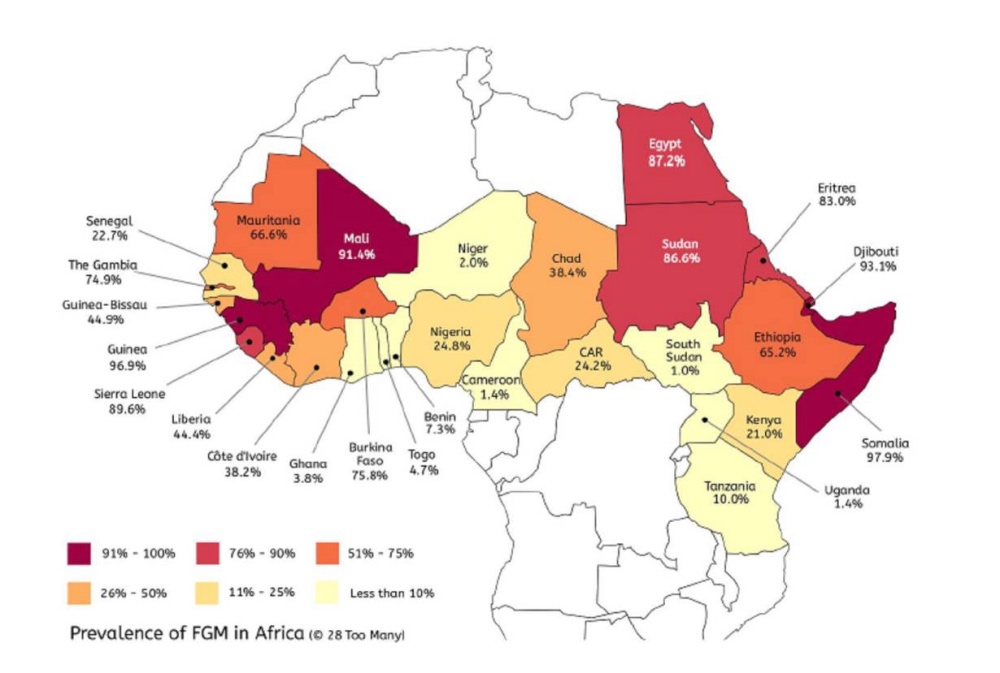 FGM Map Africa