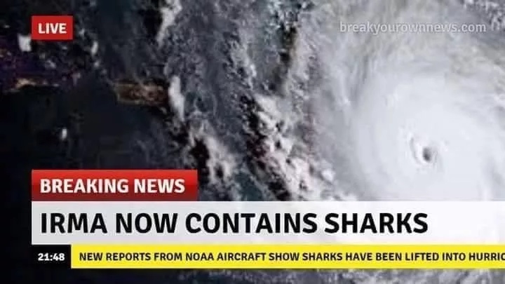 Irma graphic
