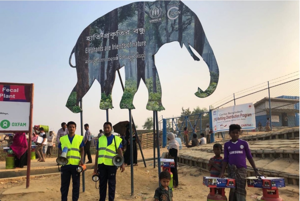 Rohingya Elephants1