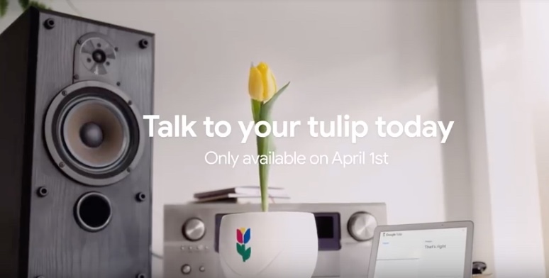 Google Tulip