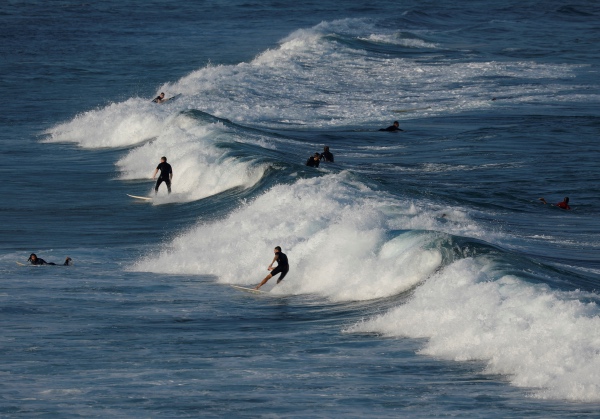 Sydney surfing