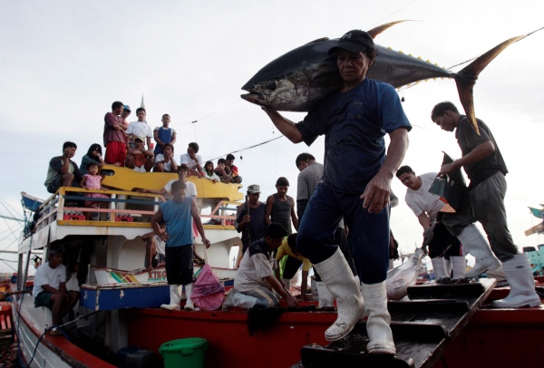 Tuna fishing Philippines