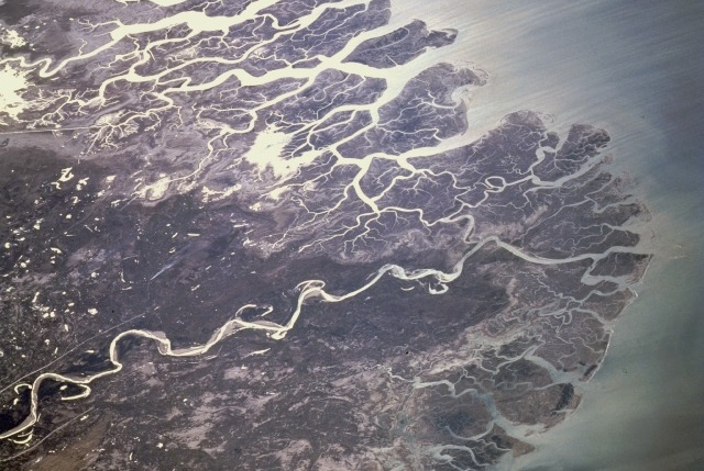 Indus River Delta space