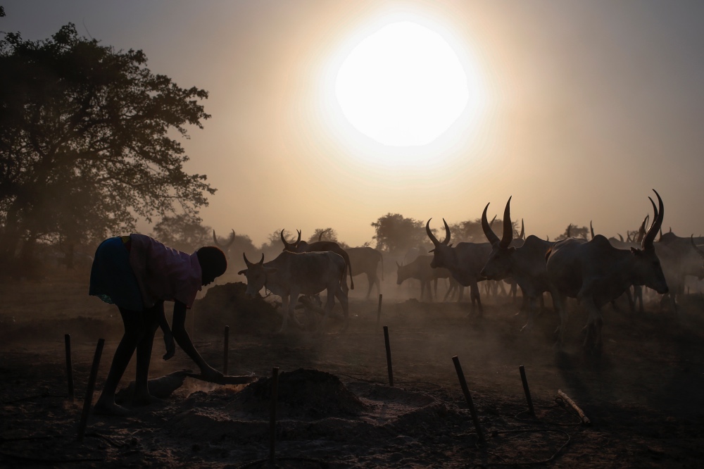South Sudan countryside