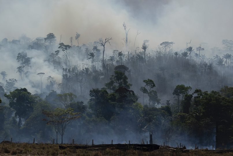Amazon synod Fires in the Amazon