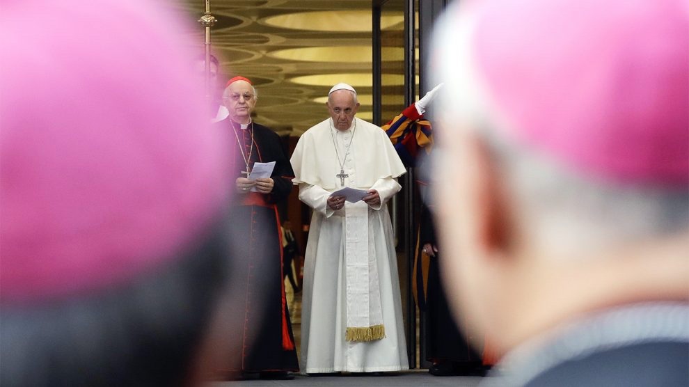 Pope Francis Amazon Synod