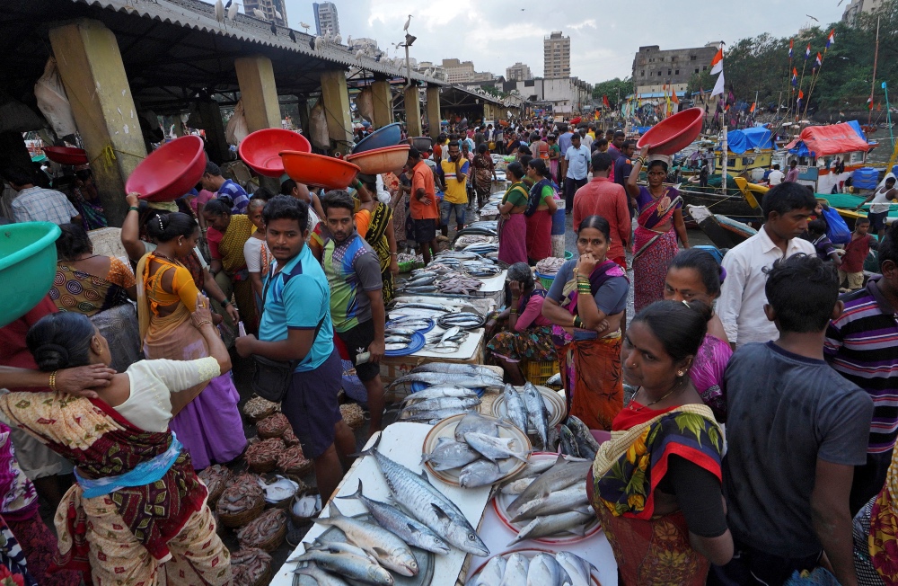 Fish market India