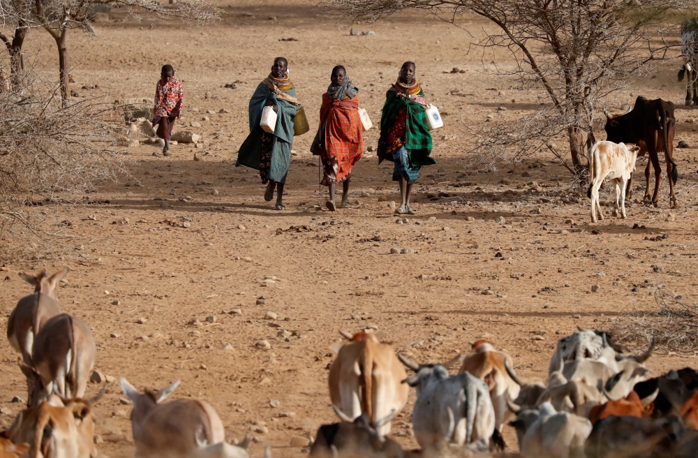 Kenya Drought