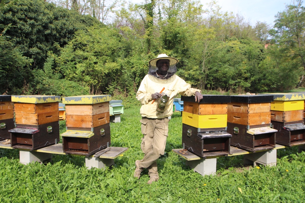 Piedmont beekeeping