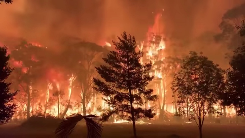 Bushfires Mount Tomar