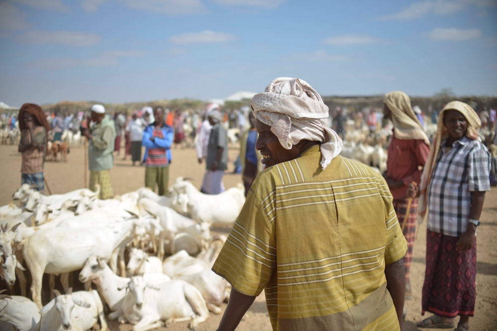 Somalia herdsmen