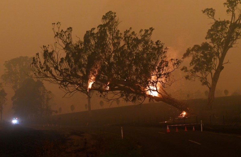 Bushfires Australia Cobargo