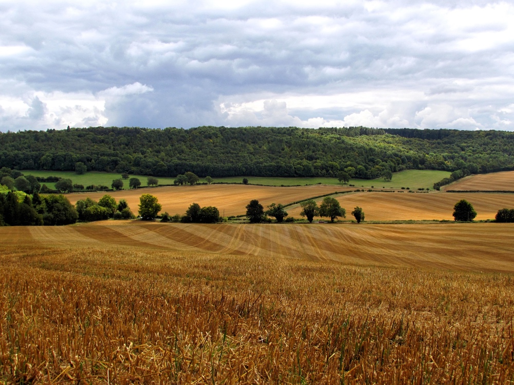 Midlands farmland