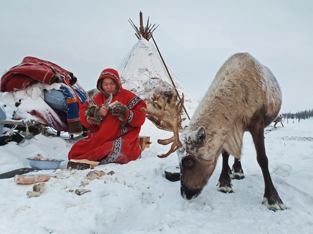 Russia Reindeer herders2