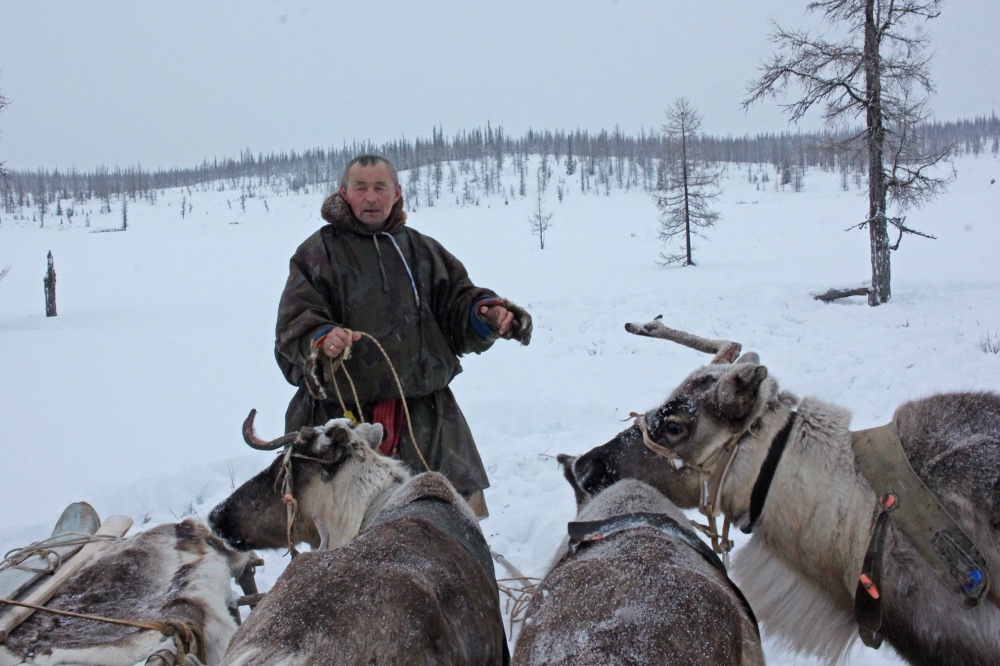 Russia Reindeer herders3