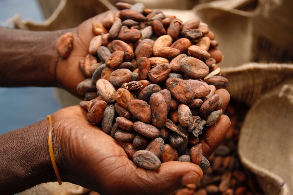 Cocoa beans west Africa