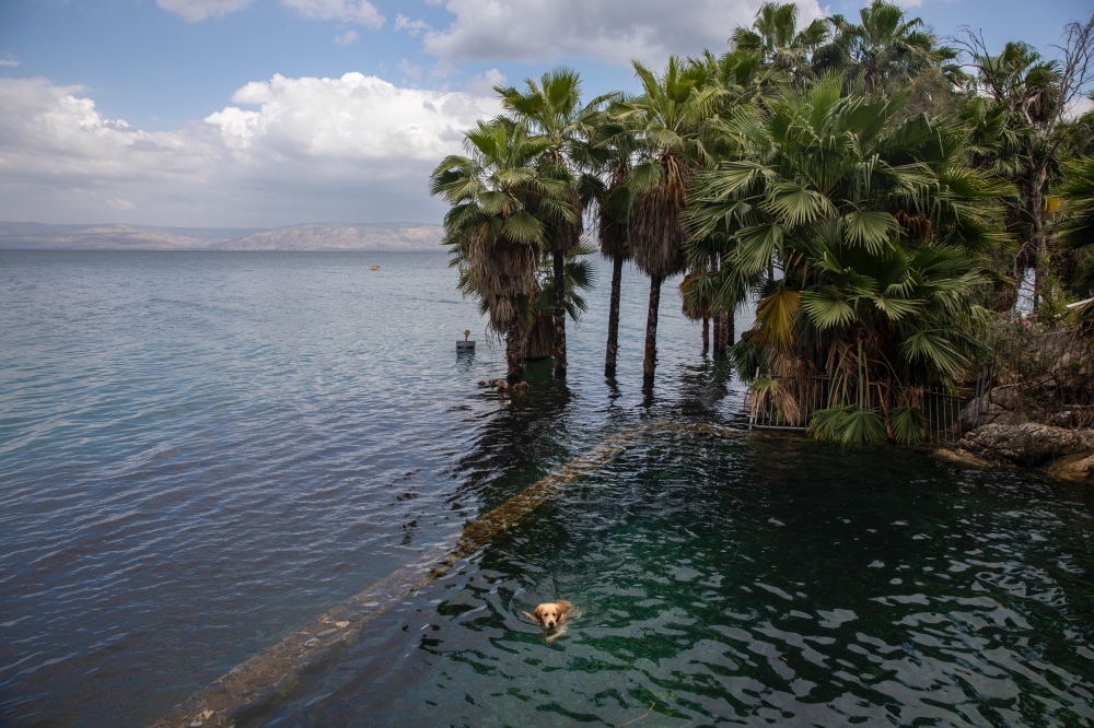Coronavirus Sea of Galilee1
