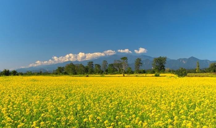 Arunachal Pradesh India