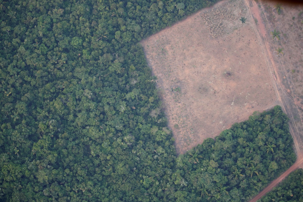 Brazil Deforestation2