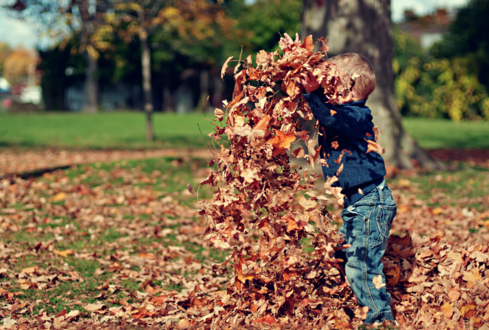 Child throwing leaves