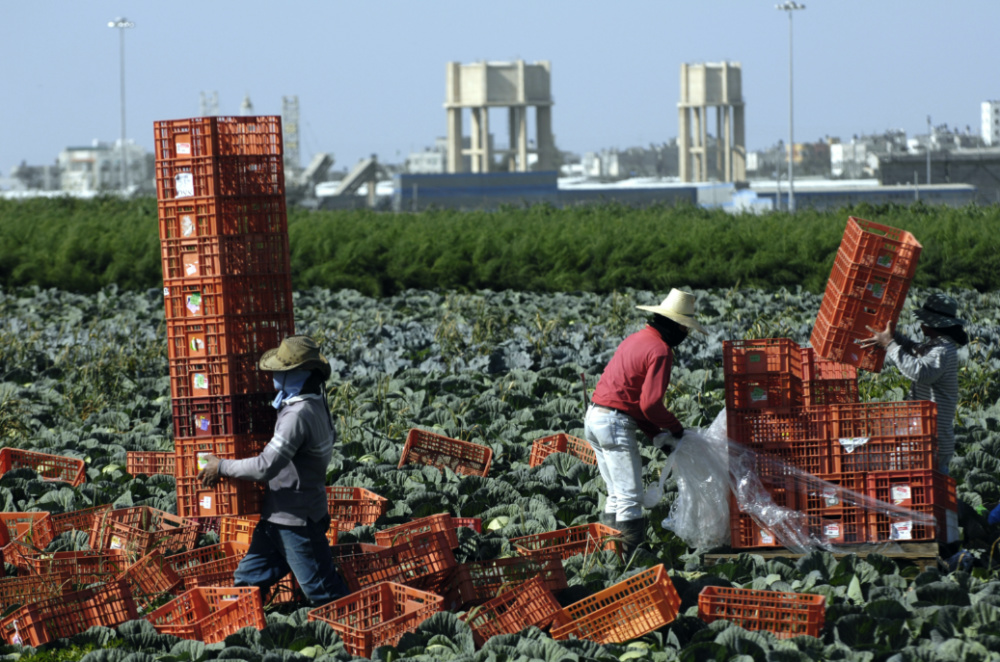 Israel migrant workers