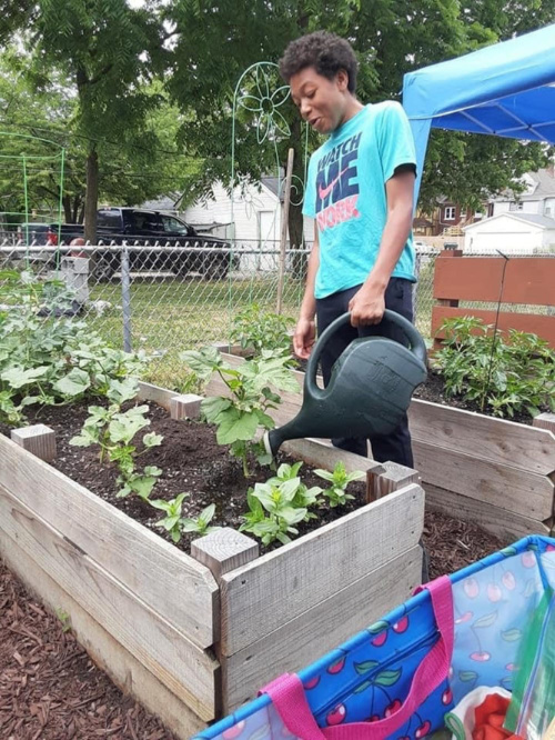 Urban Gardening Entrepreneurs Motivating Sustainability