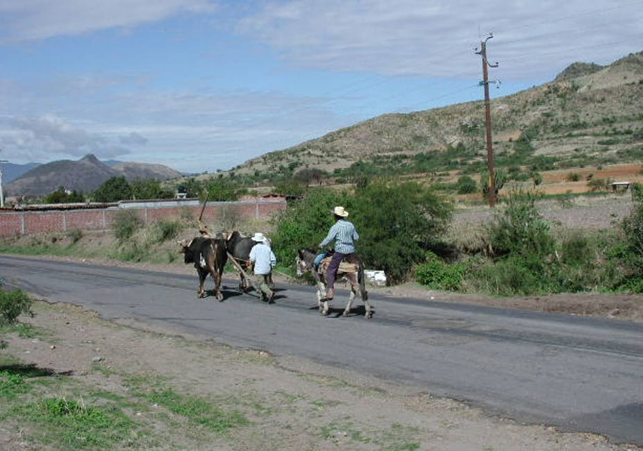 Zapotec farmers