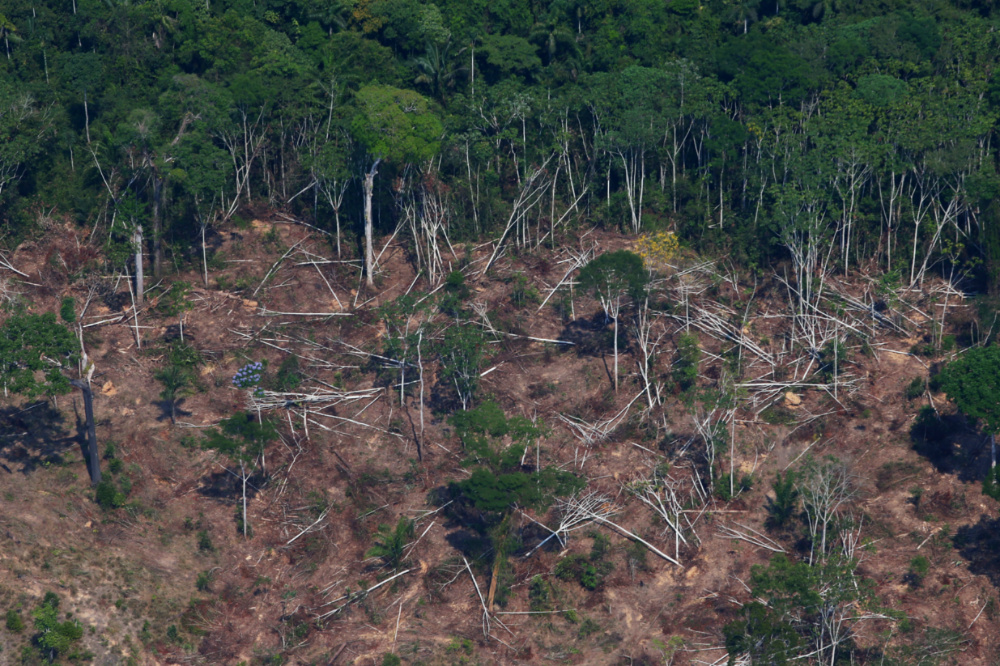 Deforestation Brazil 2018