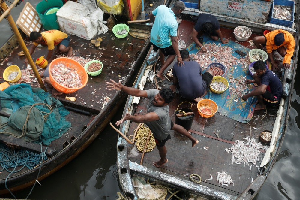 India Mumbai fishermen