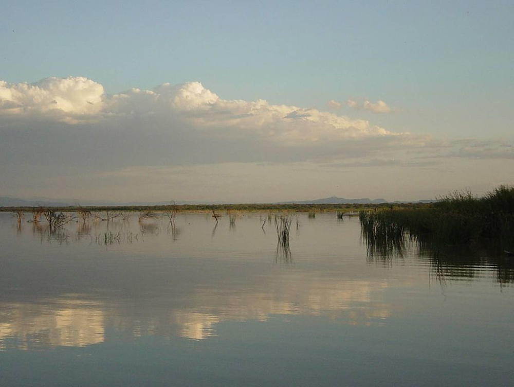 Kenya Lake Baringo