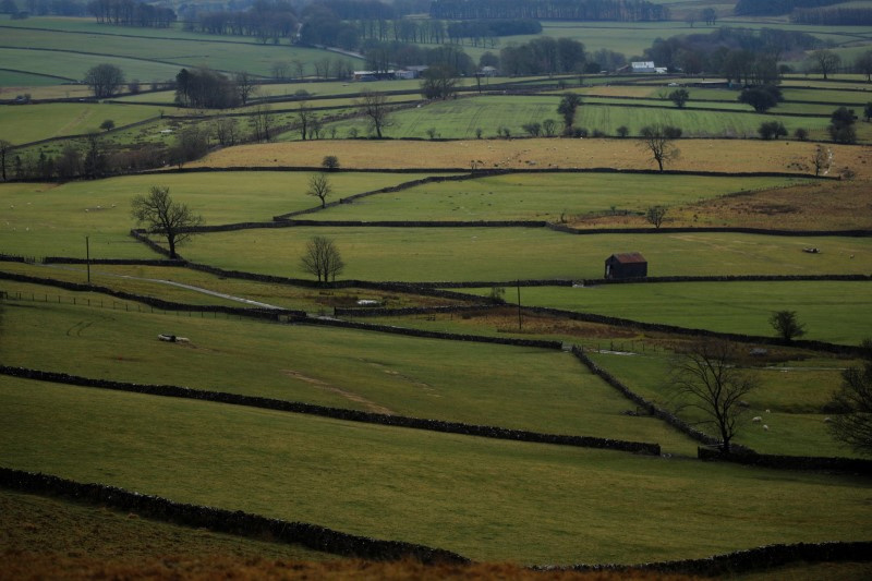 England Cumbria fields