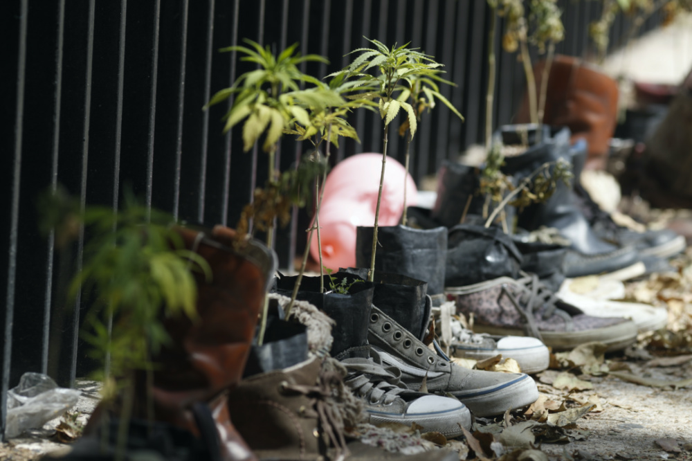 Mexico shoes marijuana protest