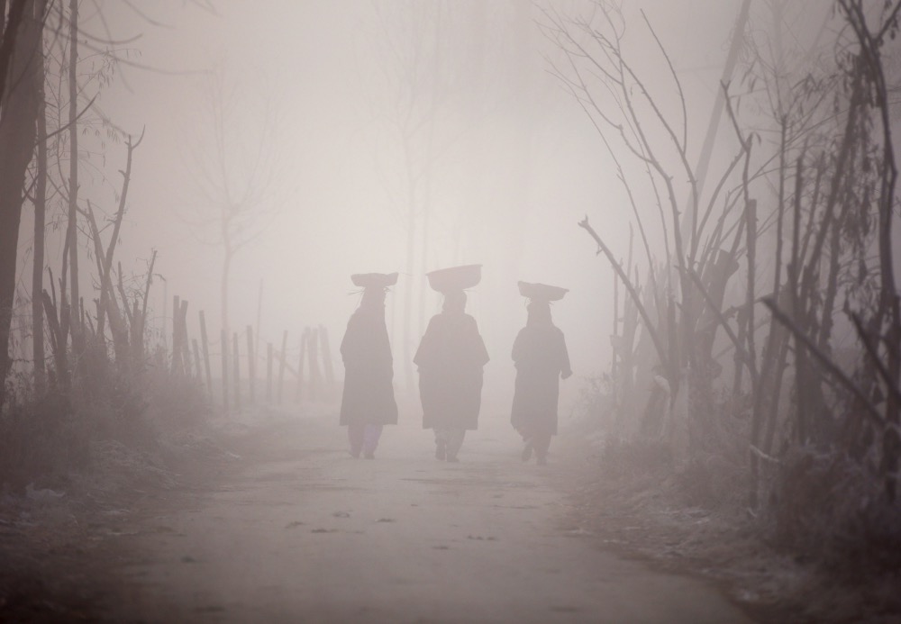India Srinagar fog