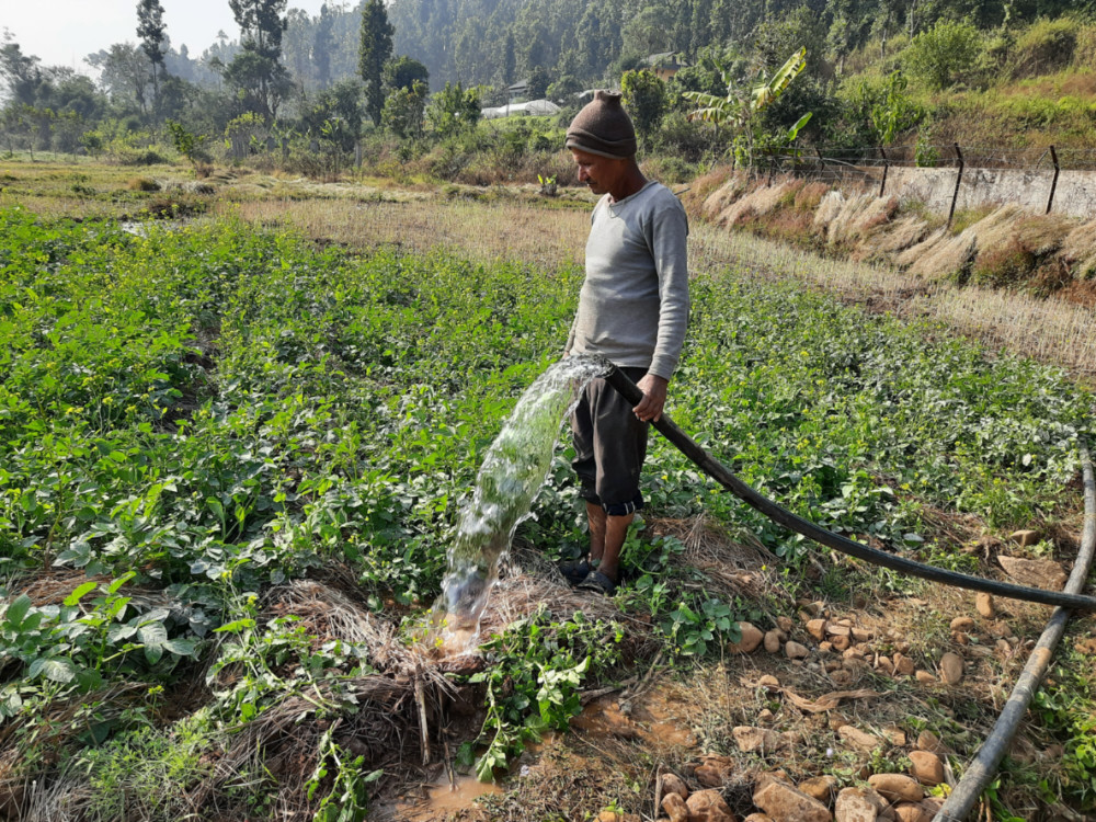 Nepal farming Ram Bahadur Rayamajhi1