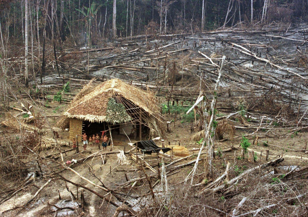Amazon Brazil deforestation
