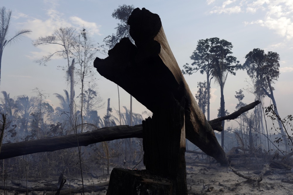 Brazil Amazon wildfires 2020