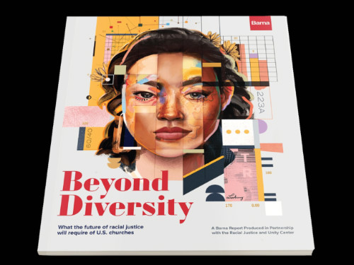 Beyond diversity report