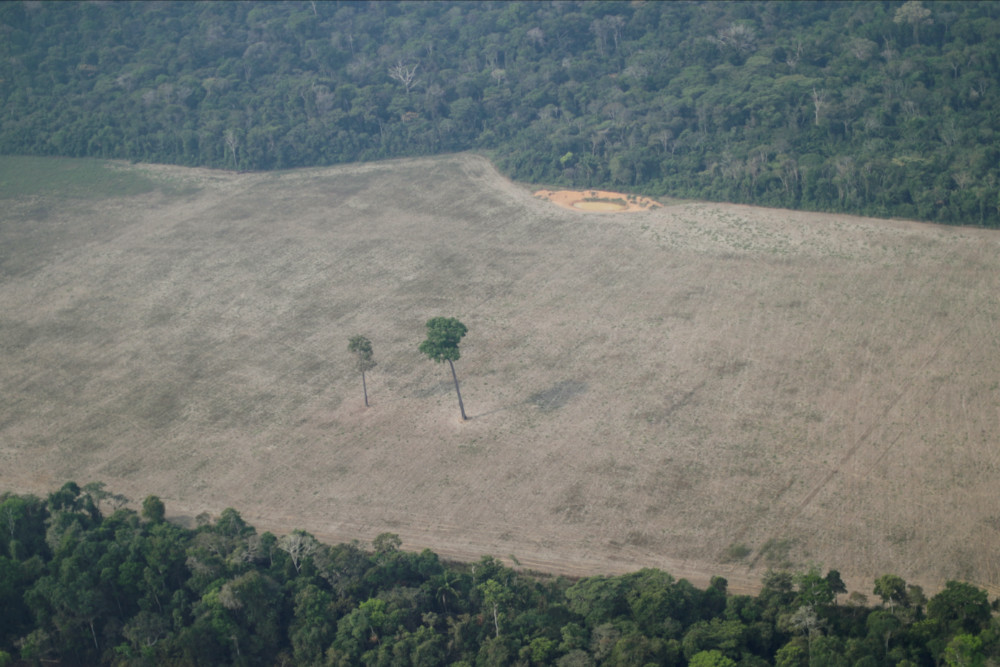 Brazil Rondonia Amazon deforestation