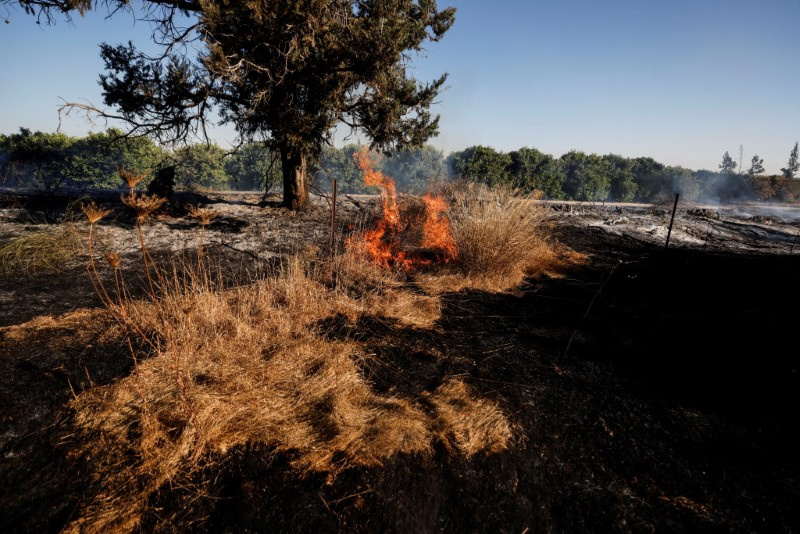 Israel field burning after incendiary balloons