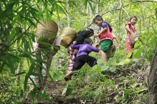 Myanmar displaced in forests1