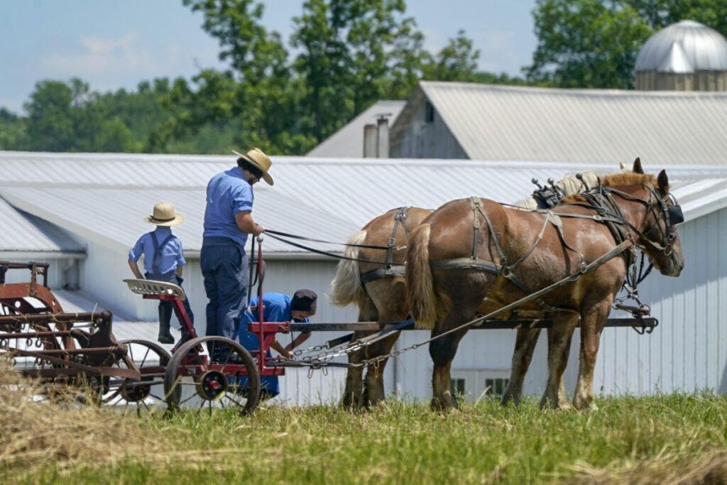 US Pennsylvania Amish1