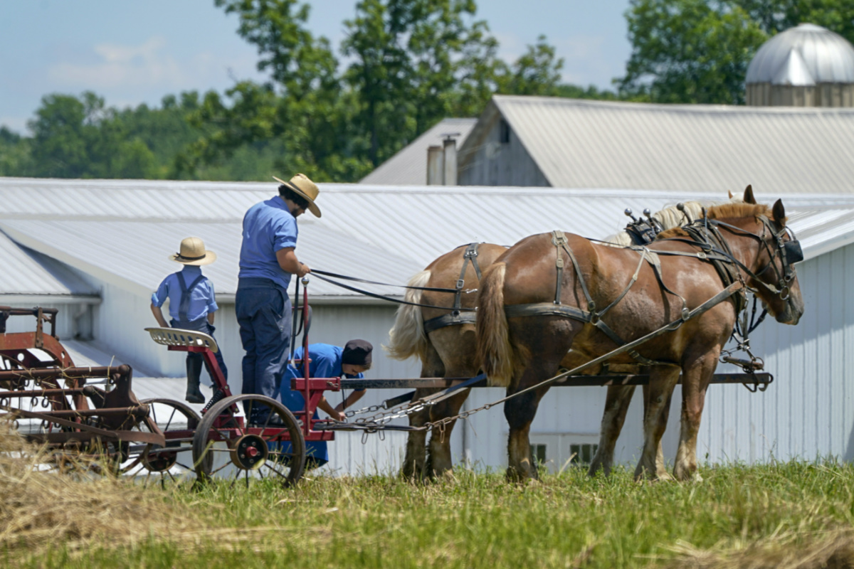 US Pennsylvania Amish1