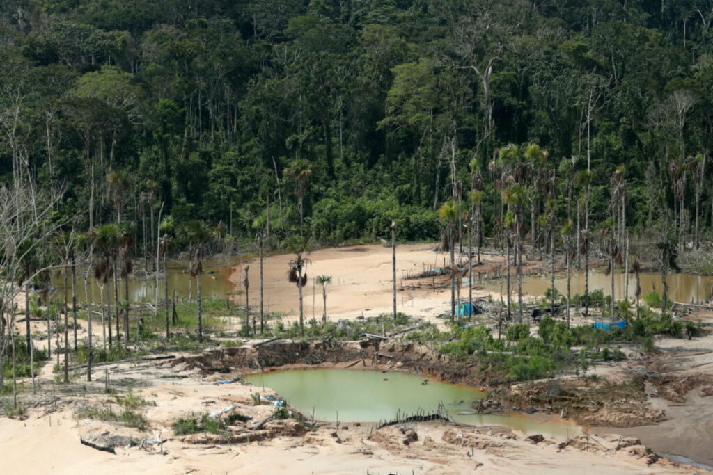Peru Amazon deforestation