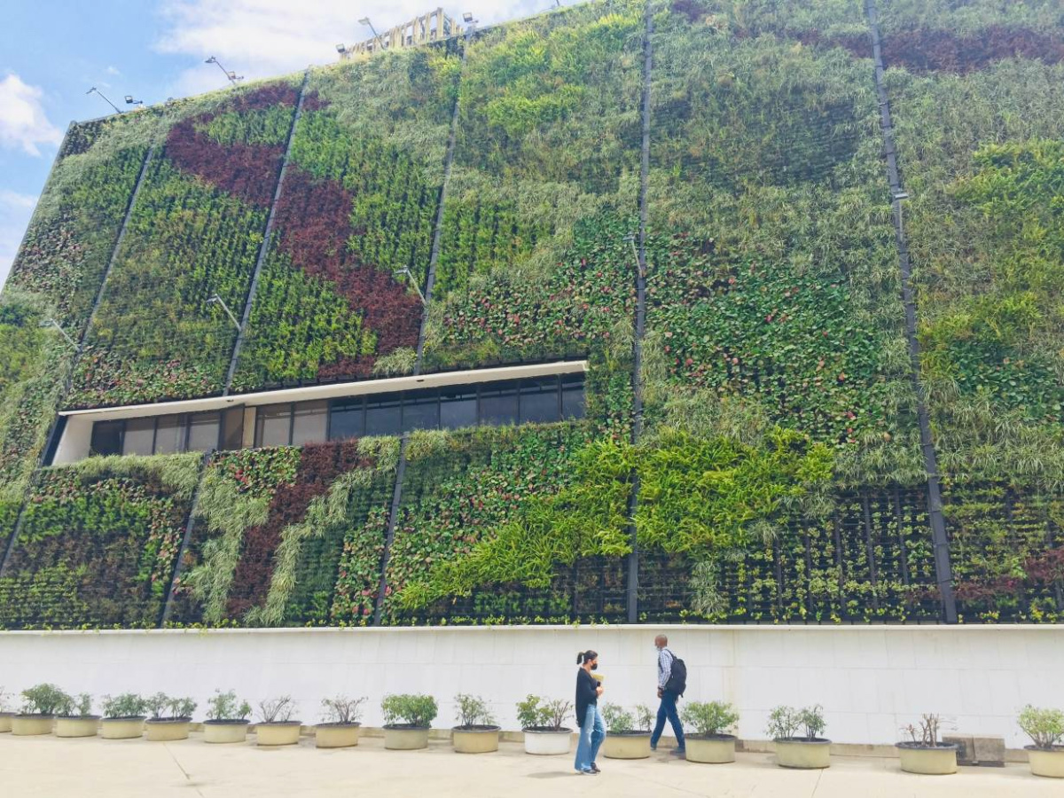 Colombia Medellin green wall
