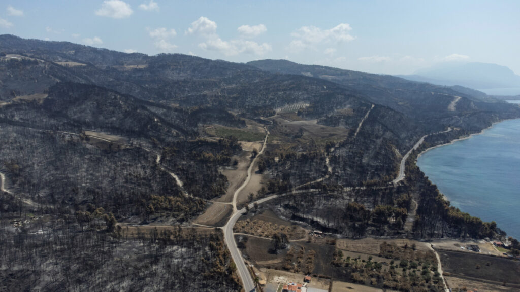 Greece Evia fire aftermath