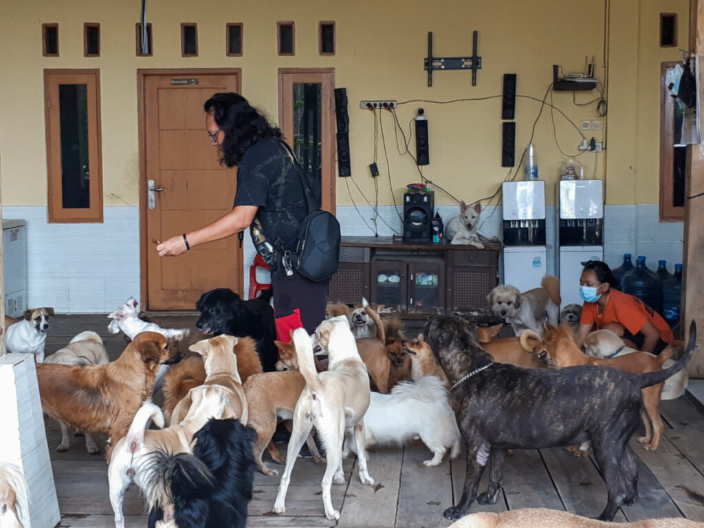 Indonesia Bogor Animal Defenders Doni Herdaru Tona