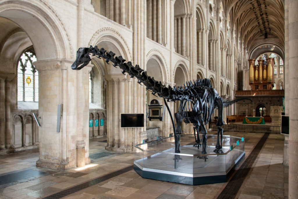 UK Norwich Cathedral Dippy1